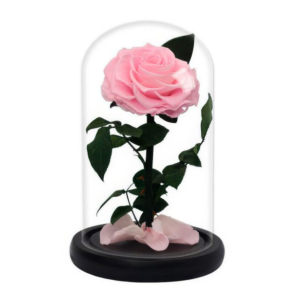 Роза в колбе нежно-розовая